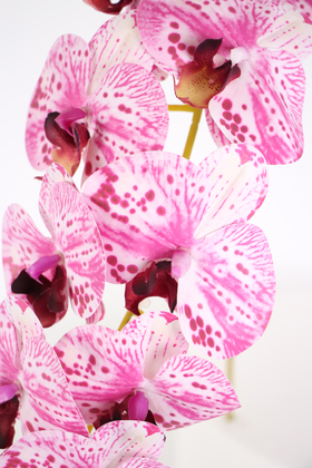 Yapay Dal Baskılı Orkide Çiçeği 88 cm Fuşya Beyaz - Thumbnail