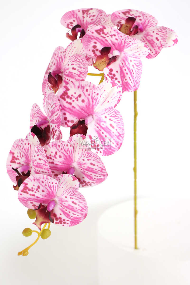 Yapay Dal Baskılı Orkide Çiçeği 88 Cm Fuşya Beyaz