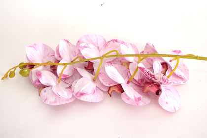 Yapay Dal Baskılı Orkide Çiçeği 88 cm Fuşya Beyaz - Thumbnail