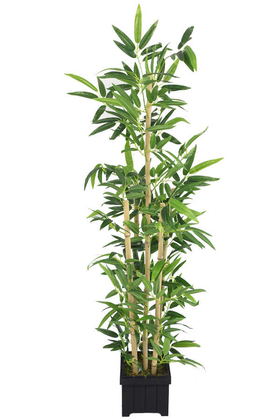 Yapay Çiçek Deposu - Yapay Yapraklı Bambu Ağacı Premium Yapraklı 5 Gövdeli 175cm
