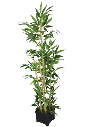 Yapay Yapraklı Bambu Ağacı Premium Yapraklı 5 Gövdeli 175cm - Thumbnail