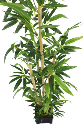 Yapay Yapraklı Bambu Ağacı Premium Yapraklı 5 Gövdeli 175cm - Thumbnail