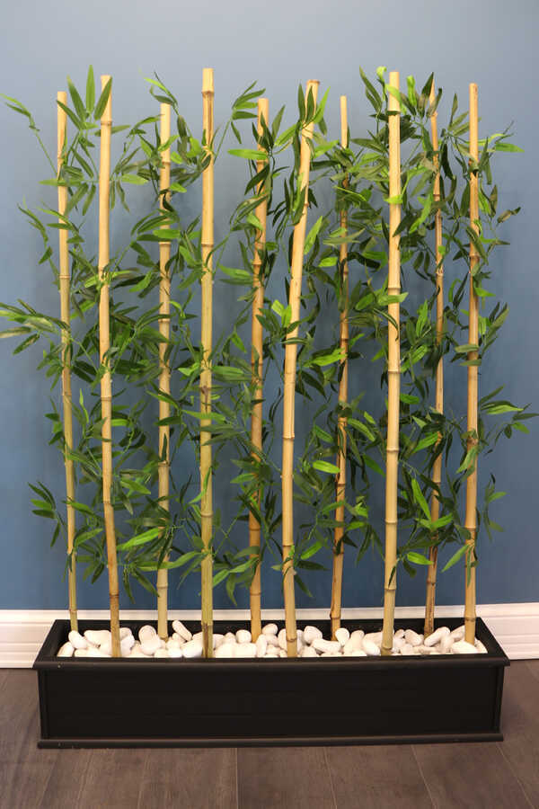 10 Çubuklu Ahşap Saksıda Bambu Seperatör (20x100x135cm)