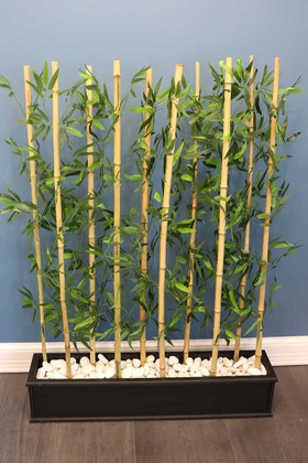 10 Çubuklu Ahşap Saksıda Bambu Seperatör (20x100x135cm) - Thumbnail
