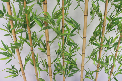 Yapay Bambu Seperatör 7 Adet Bambu Çubuklu Egzotik Yapraklı (20x100x160 cm) - Thumbnail