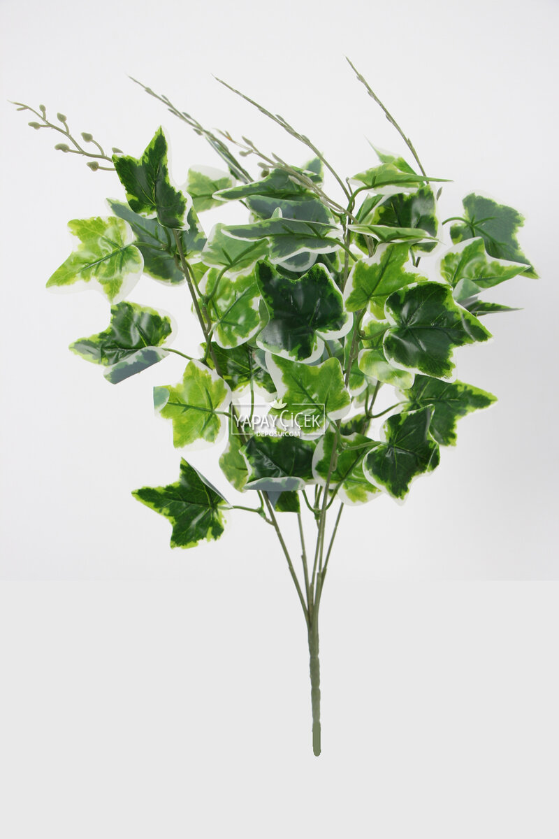 Yapay Yaprak Bitki Demeti Hedera Model 50 Cm Yeşil-beyaz
