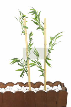Gerçek Bambu Yapay Yeşil Yapraklı 80 cm - Thumbnail