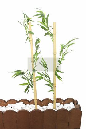Gerçek Bambu Yapay Yeşil Yapraklı 80 cm - 2
