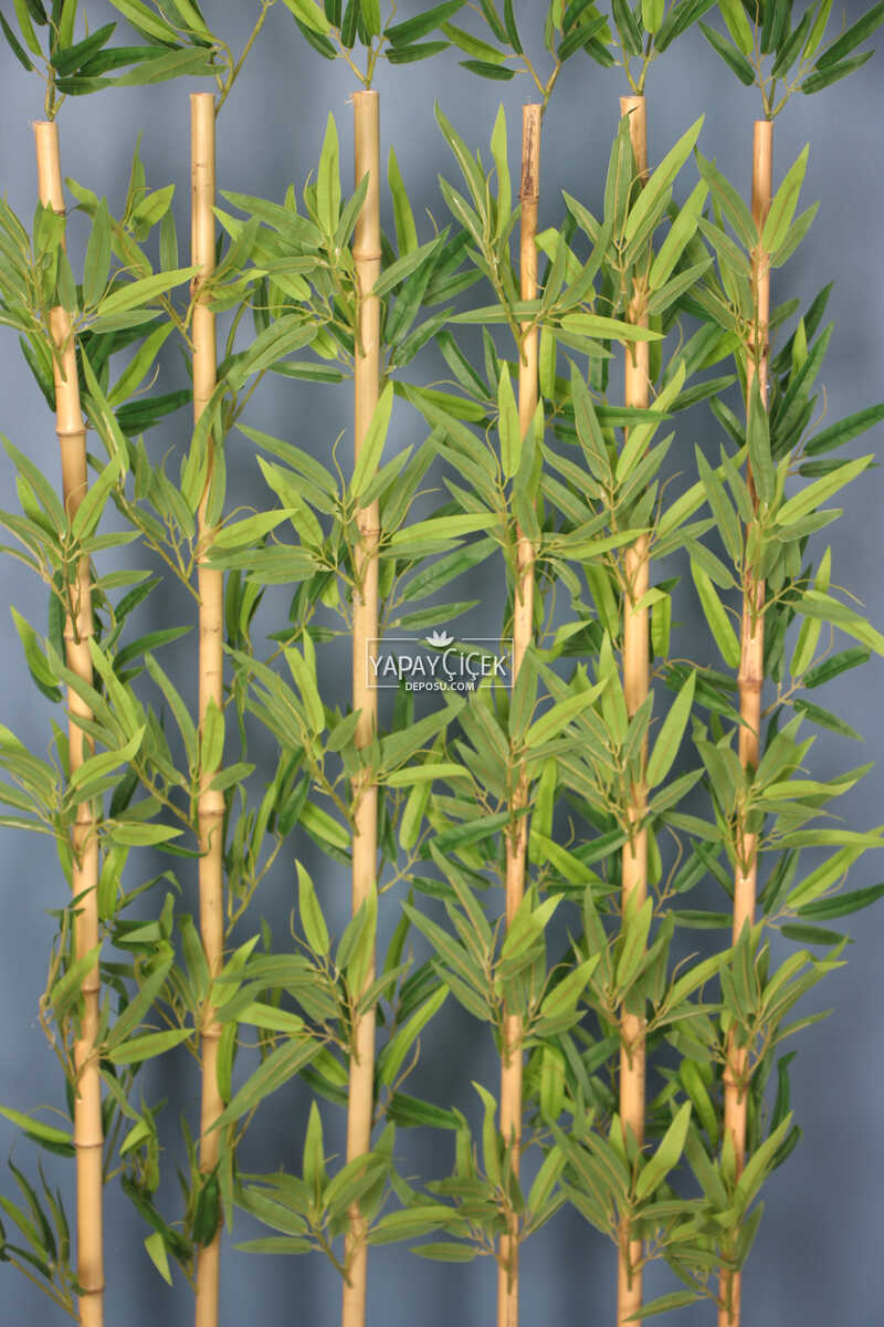 Kırçıllı Yaprak 6 Çubuklu Gri Saksıda Bambu Seperatör (20x70x160cm)