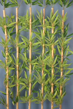 Kırçıllı Yaprak 6 Çubuklu Gri Saksıda Bambu Seperatör (20x70x160cm) - Thumbnail