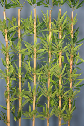 Kırçıllı Yaprak 6 Çubuklu Gri Saksıda Bambu Seperatör (20x70x160cm) - 2