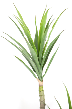 3 Gövdeli Geniş Yapraklı Yapay Yucca Ağacı 160 cm - Thumbnail