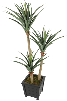 Yapay 3 Gövdeli Yucca Ağacı Artificial Foilage 150 cm - Thumbnail