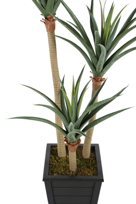 Yapay 3 Gövdeli Yucca Ağacı Artificial Foilage 150 cm - Thumbnail