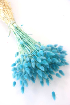 Yapay Çiçek Deposu - Kuru Çiçek Pamuk Otu (Yerli) Açık Mavi