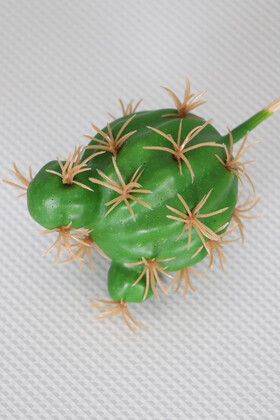 Yapay Succulent Sukulent Kaktüs Melocactus - Thumbnail