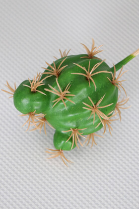 Yapay Succulent Sukulent Kaktüs Melocactus - 2