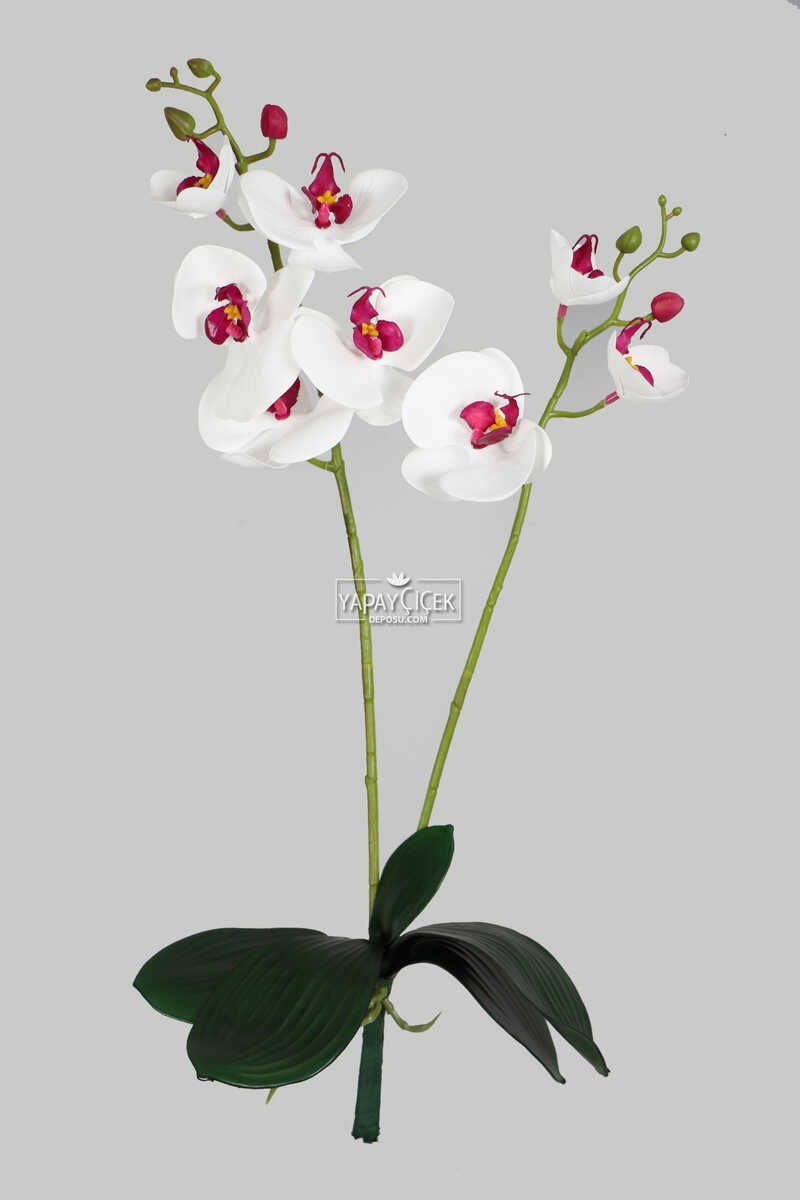 Yapraklı 3d Lüx 2li Islak Orkide Dalı 55 Cm Beyaz-fuşya