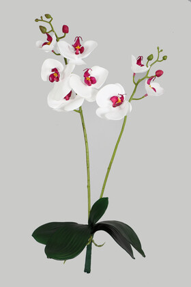Yapay Çiçek Deposu - Yapraklı 3D Lüx 2li Islak Orkide Dalı 55 cm Beyaz-Fuşya