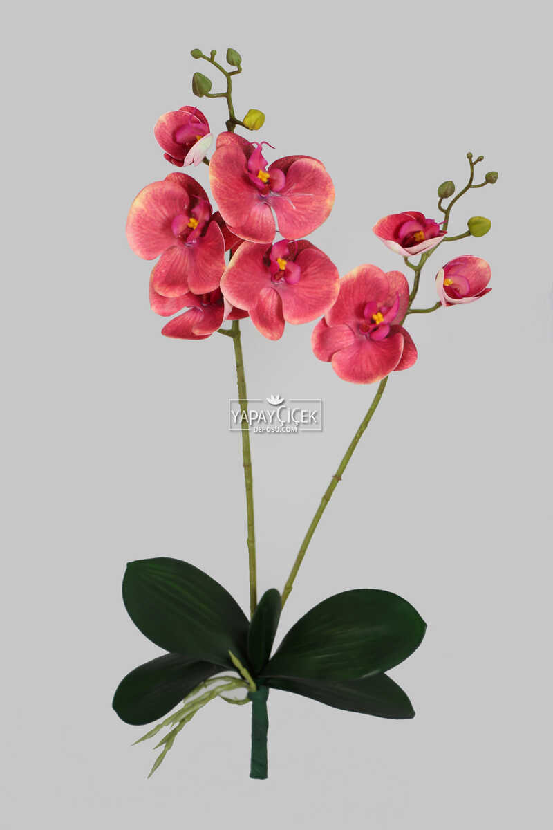 Yapraklı 3d Lüx 2li Islak Orkide Dalı 55 Cm Pastel Fuşya