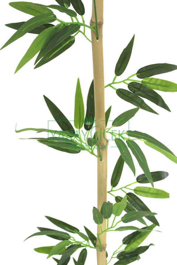 100 cm Yapay 8 Dal Yapraklı Doğal Bambu Tip14