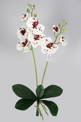 Yapay Çiçek Deposu - Yapraklı 3D Lüx 2li Islak Orkide Dalı 55 cm Beyaz-Benekli