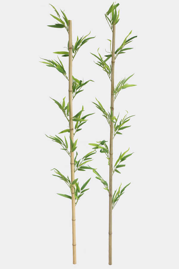 Doğal Bambu Yapay Egzotik Yapraklı 160 Cm 10 Yapraklı