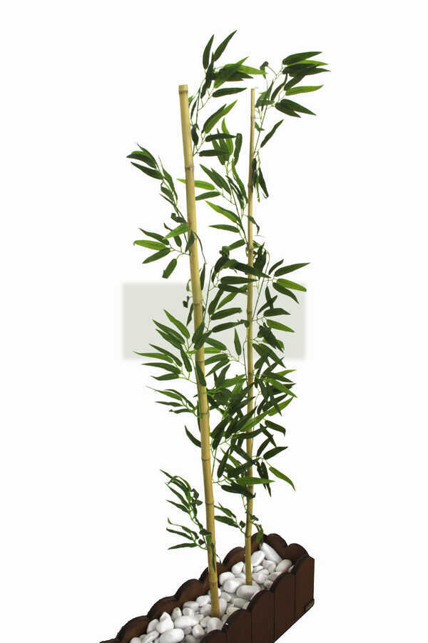 Gerçek Bambu Yapay Yeşil Yapraklı 150 cm