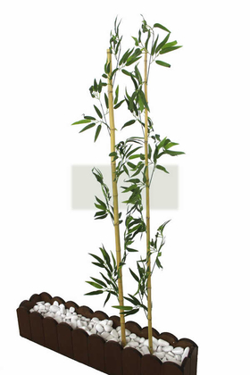 Gerçek Bambu Yapay Yeşil Yapraklı 150 cm - 3
