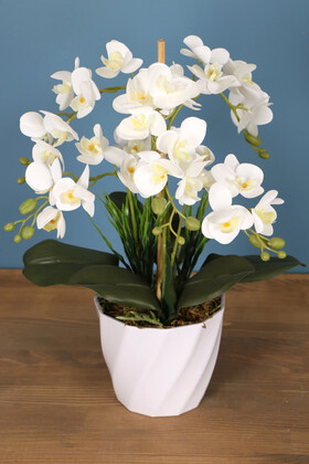 Yapay Çiçek Deposu - Melamin Saksıda 36 Kandilli Mini Yapay Islak Orkide Tanzimi Beyaz Sarı