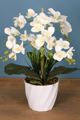 Melamin Saksıda 36 Kandilli Mini Yapay Islak Orkide Tanzimi Beyaz Sarı - Thumbnail