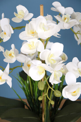 Melamin Saksıda 36 Kandilli Mini Yapay Islak Orkide Tanzimi Beyaz Sarı - Thumbnail
