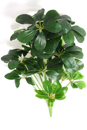 Yapay Şeflera Bitki Demeti 65cm (Schefflera) Koyu Yeşil - Thumbnail