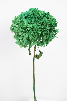 Yapay Çiçek Deposu - Lüx Bodur Ortanca Dalı (Gerçek Uzun Ömürlü Şoklanmış) 40 cm Yeşil