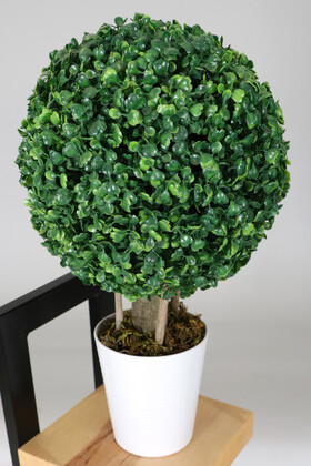 Yapay Küçük Şimşir Ağacı 46 cm Beyaz Saksılı - 2