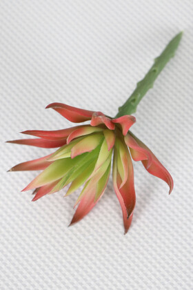 Yapay Çiçek Deposu - Yapay Succulent Sukulent Kaktüs Fritillaria Imperialis Yeşil Kızıl