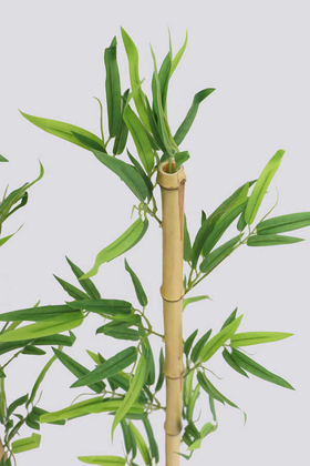 Doğal Bambu Yapay Egzotik Yapraklı 110 cm - Thumbnail